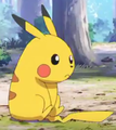 Le Pikachu du joueur dans Pokémon Générations.