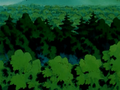 La Forêt de Jade dans le dessin animé.