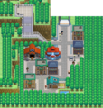 À droite, le Centre Pokémon et à gauche, l'École des Dresseurs, qui est aussi l'Arène.